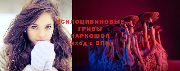 бошки Богородицк