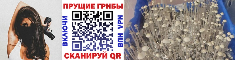shop официальный сайт  Горнозаводск  Псилоцибиновые грибы Magic Shrooms 